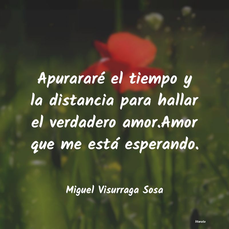 Frases de Miguel Visurraga Sosa