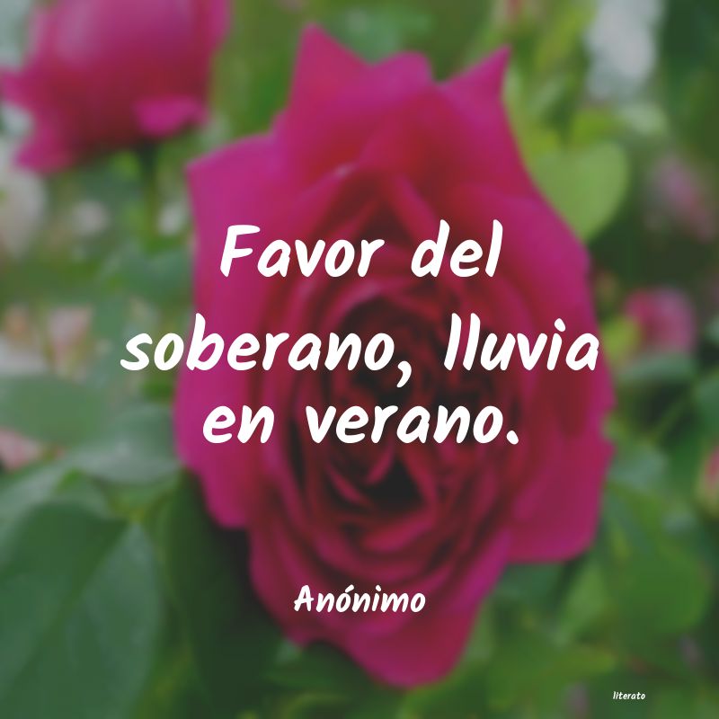 Frases de