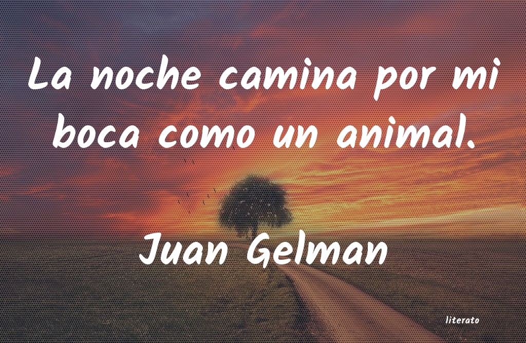 frases de Juan Gelman