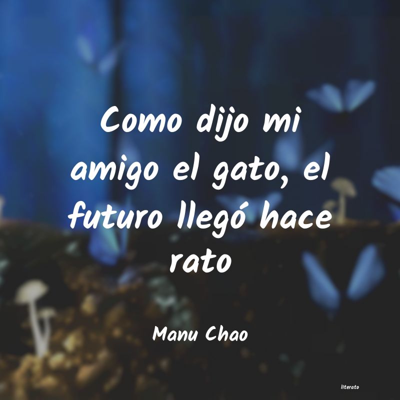 Frases de Manu Chao
