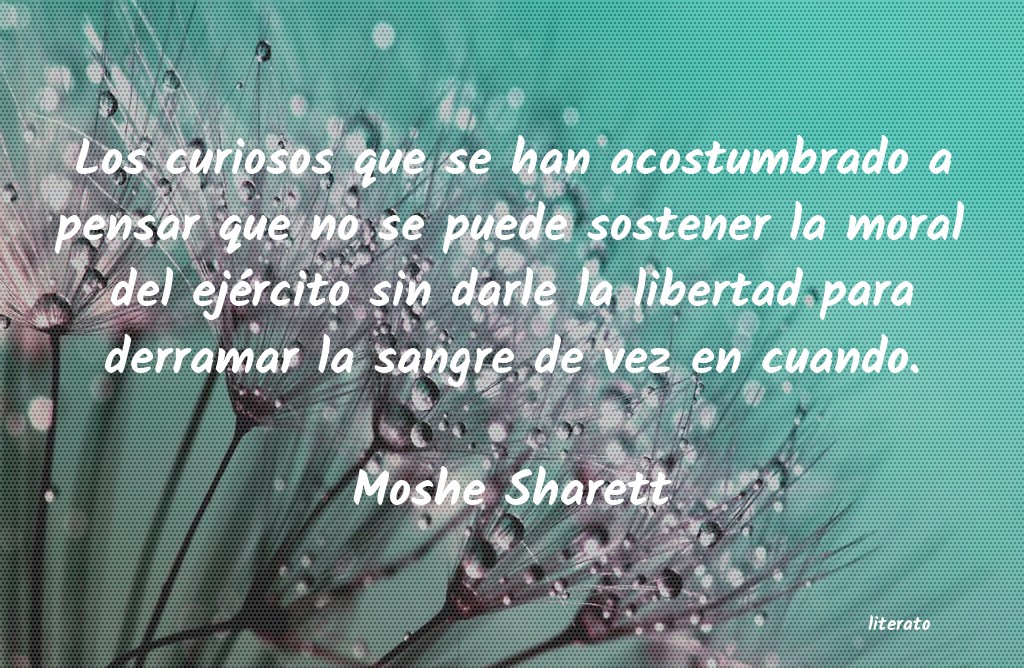 Frases de Moshe Sharett