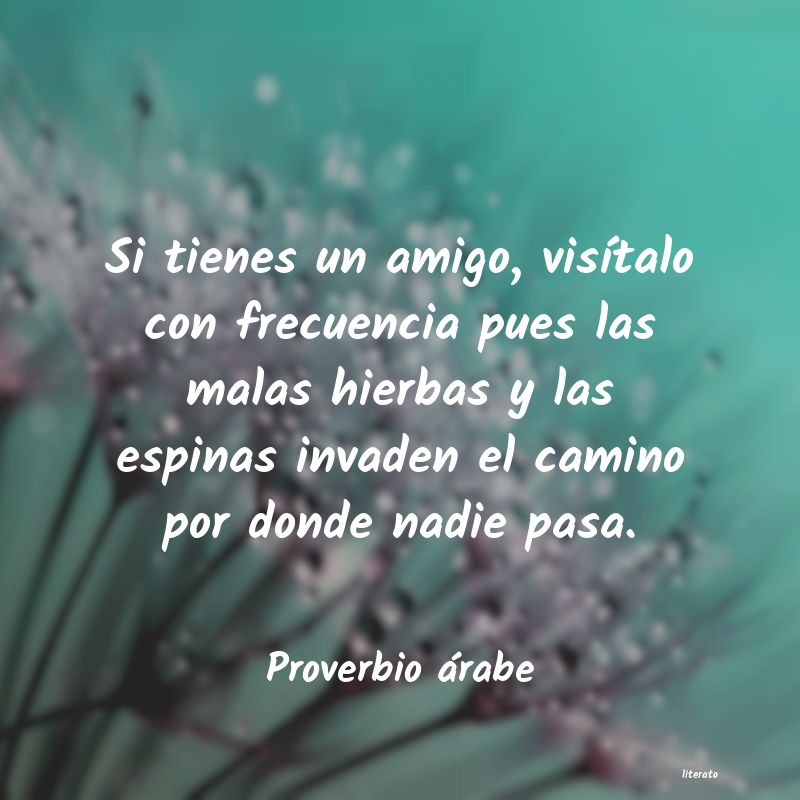 Frases de Proverbio árabe