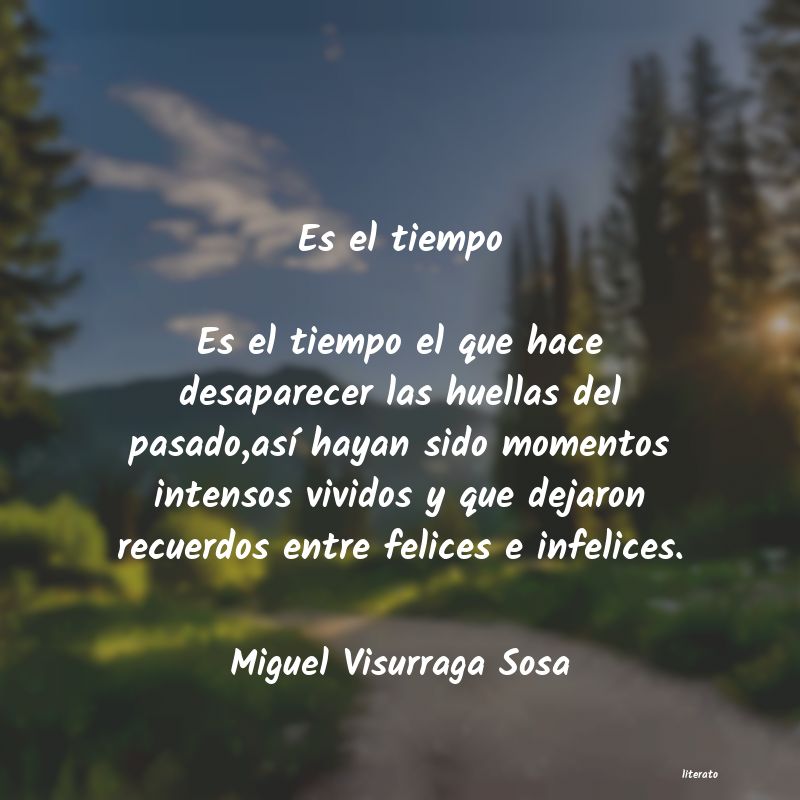 frases de Miguel Visurraga Sosa