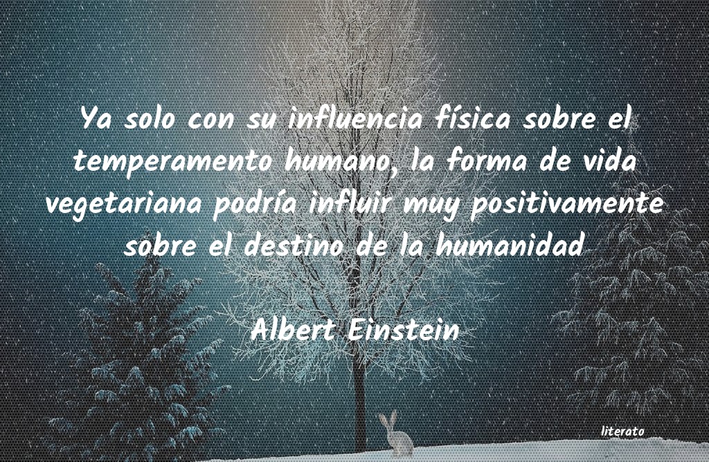 frases de Albert Einstein