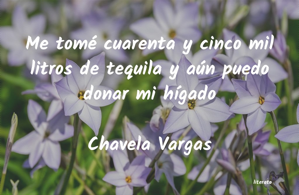 Frases de Chavela Vargas