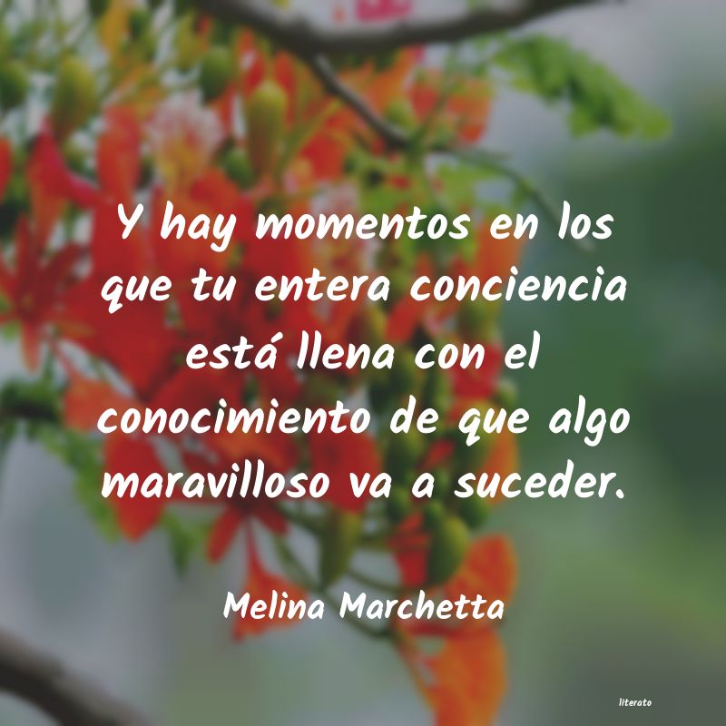 frases de Melina Marchetta