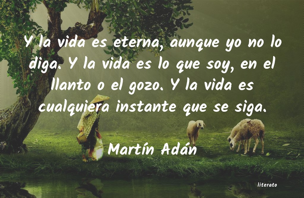 Frases de Martín Adán