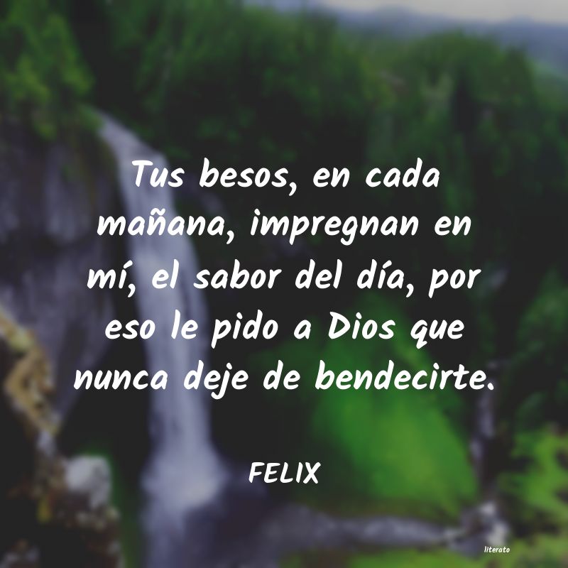 Frases de FELIX