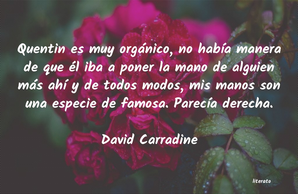 frases de David Carradine