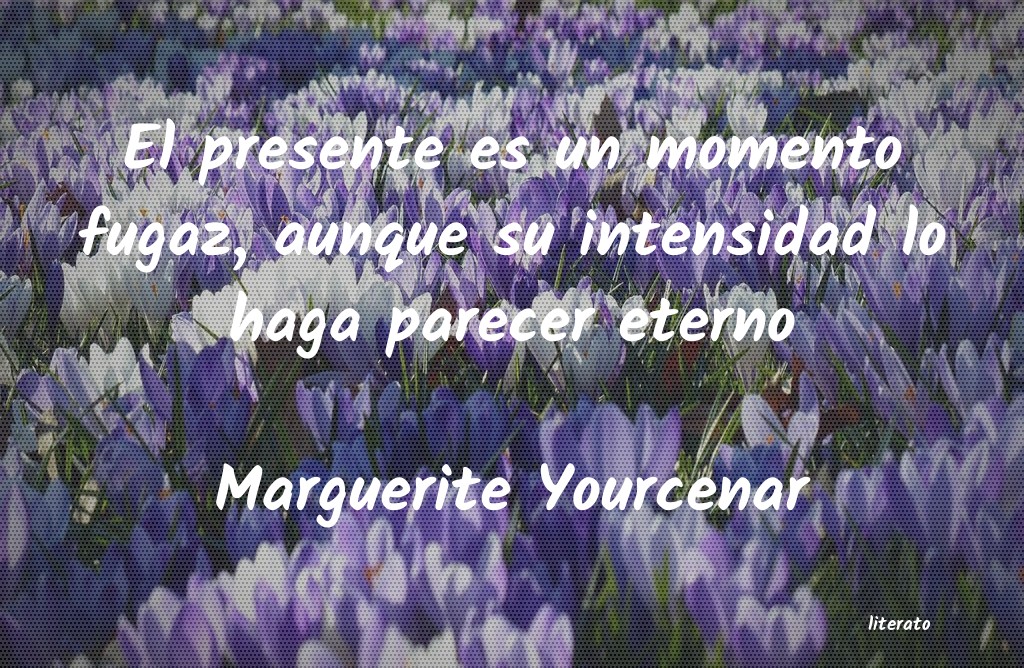 Frases de Marguerite Yourcenar