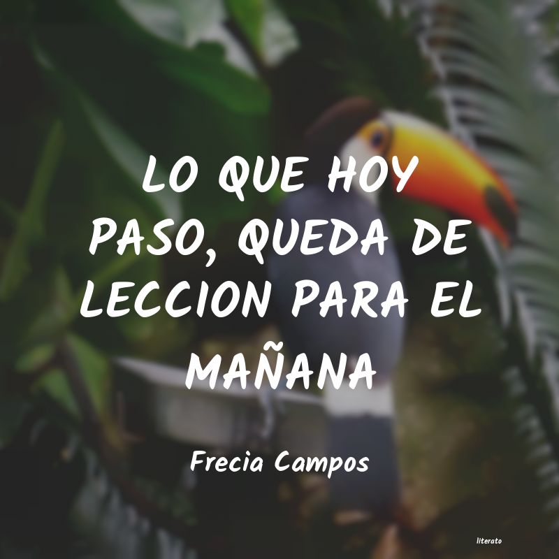 Frases de Frecia Campos