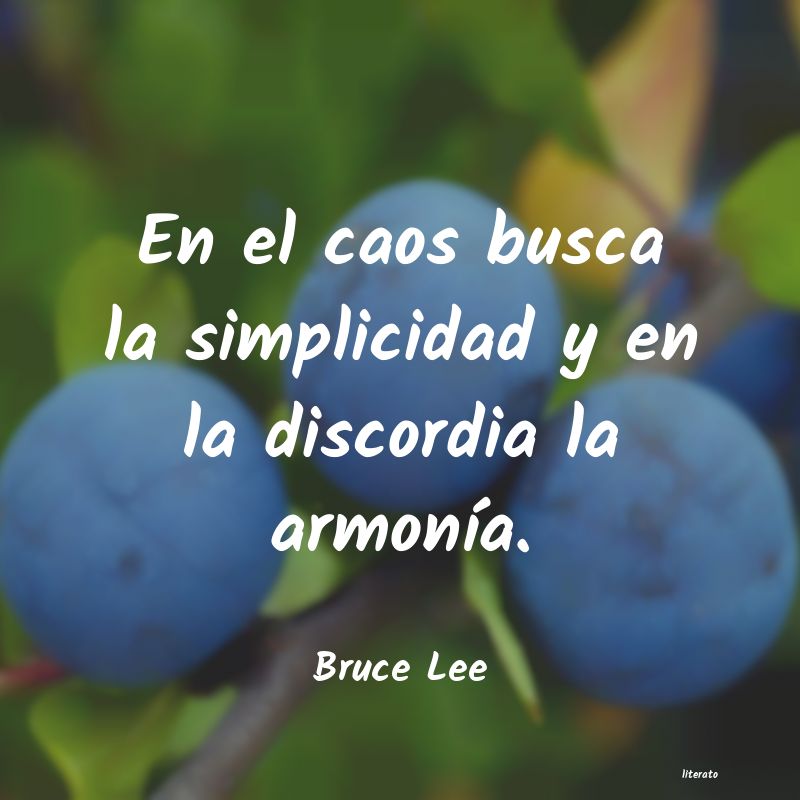 frases de Bruce Lee