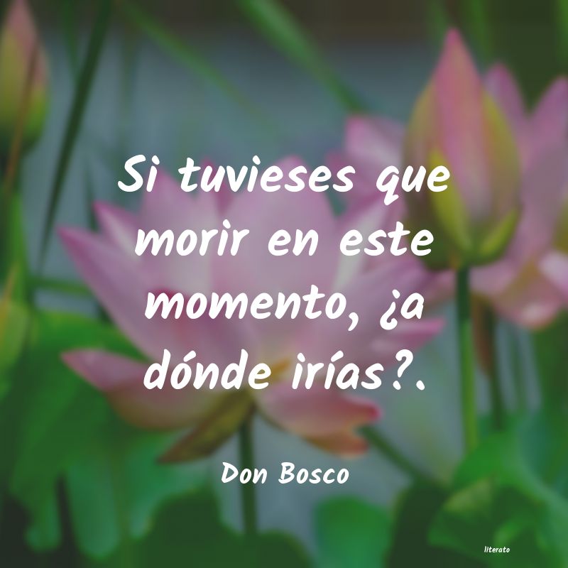 Frases de Don Bosco