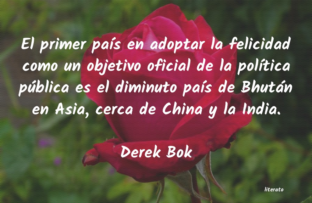 Frases de Derek Bok