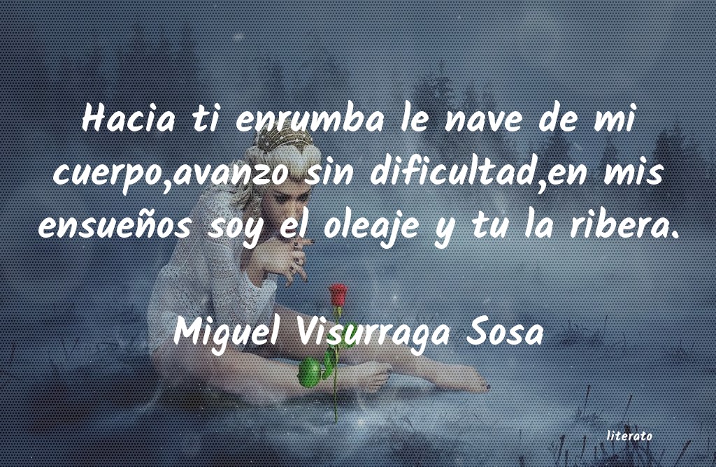 Frases de Miguel Visurraga Sosa