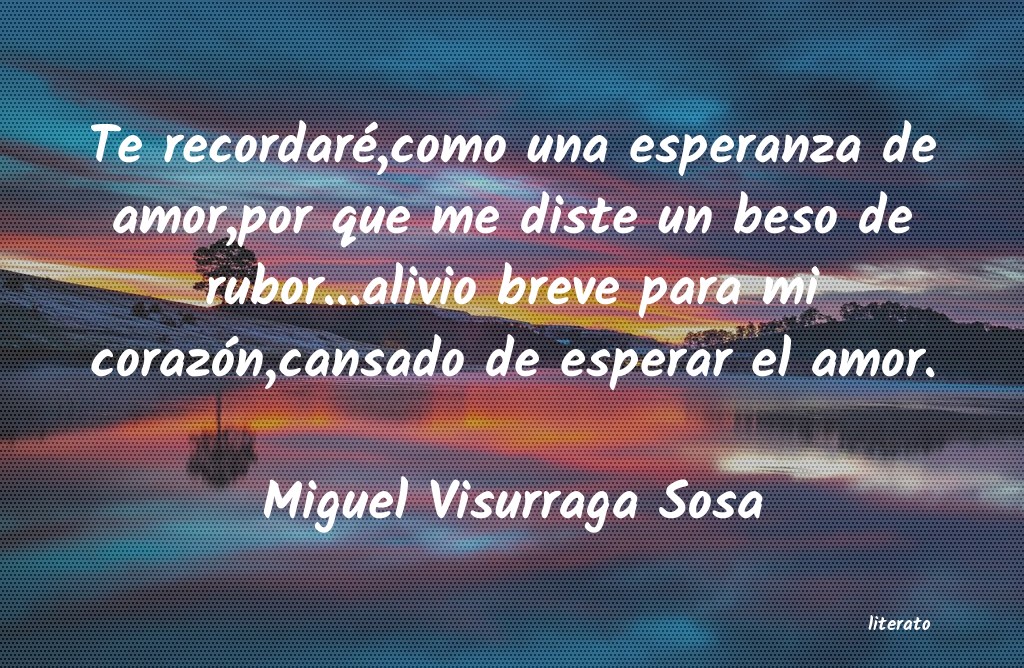 frases de Miguel Visurraga Sosa
