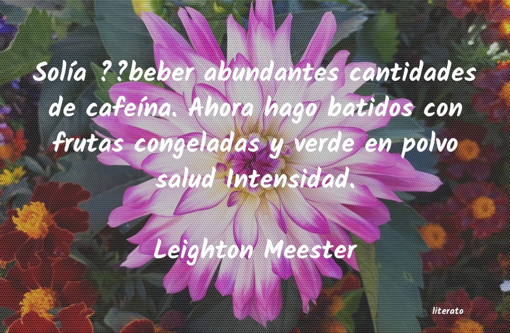 frases de Leighton Meester