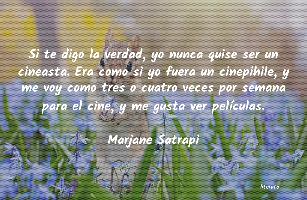 Frases de Marjane Satrapi