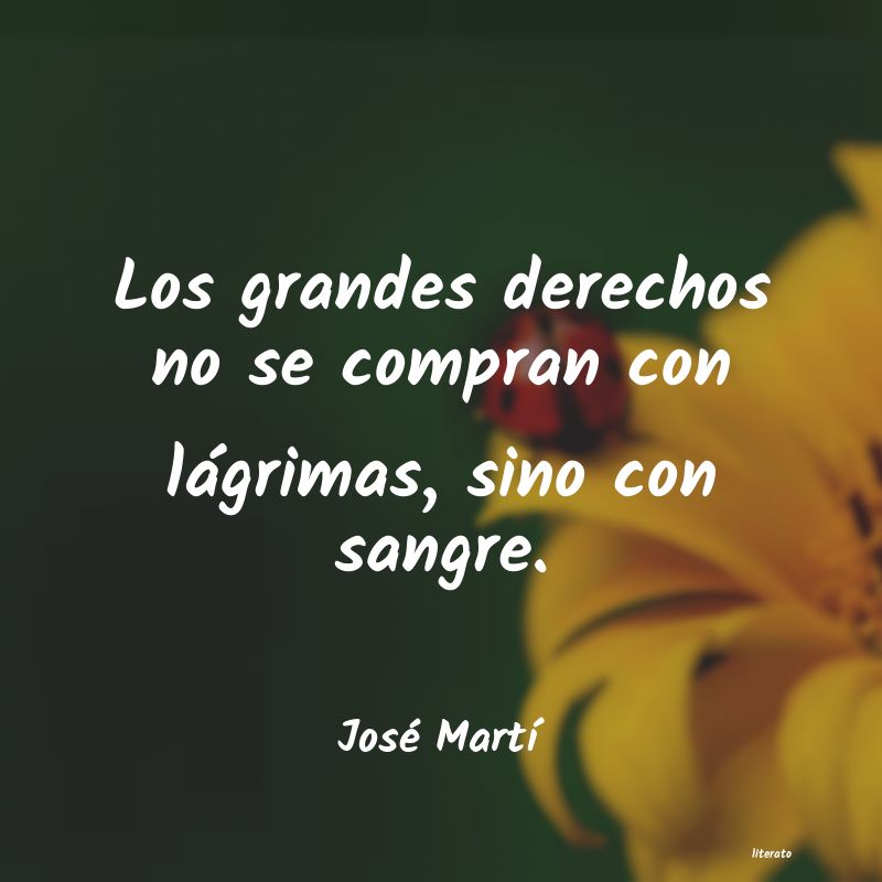 Frases de José Martí