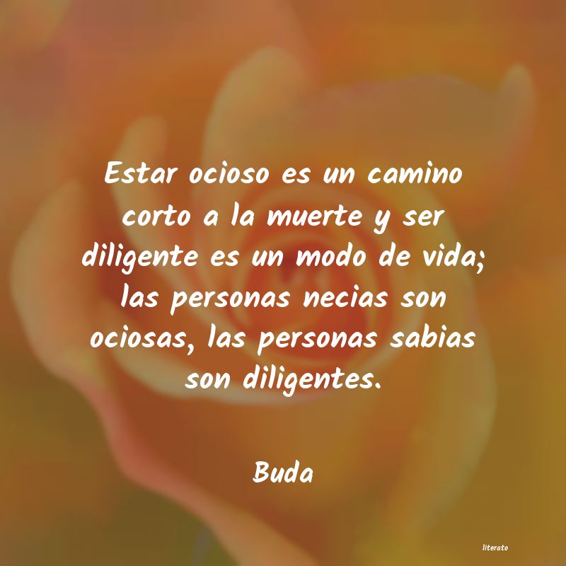 Frases de Buda