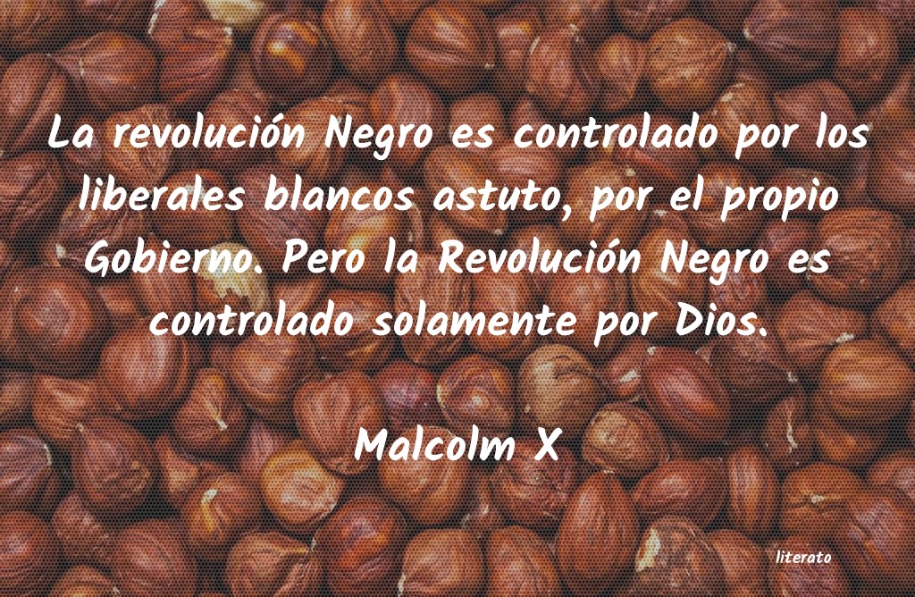 frases de Malcolm X