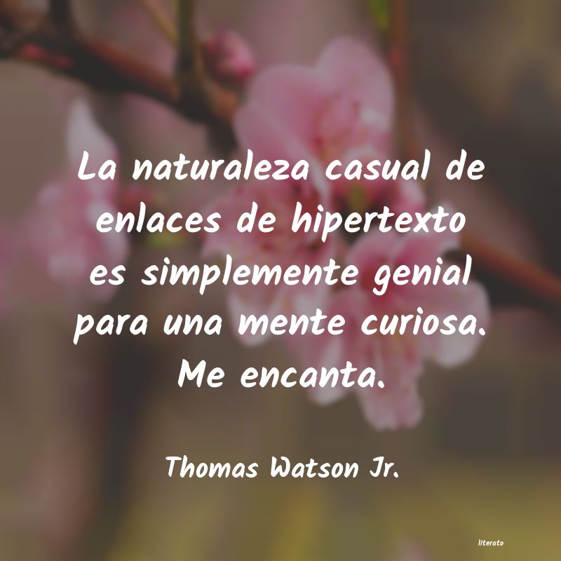 frases de Thomas Watson Jr.