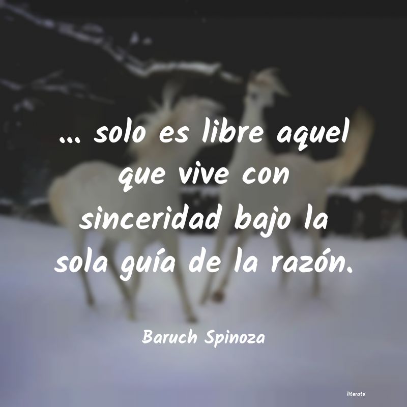 Frases de Baruch Spinoza