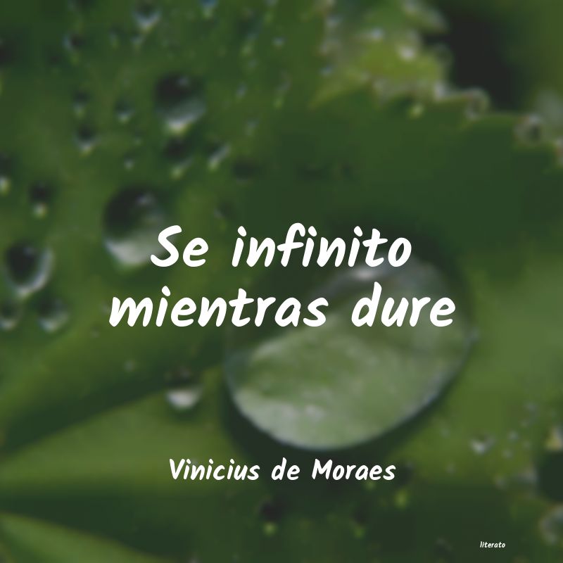 Frases de Vinicius de Moraes