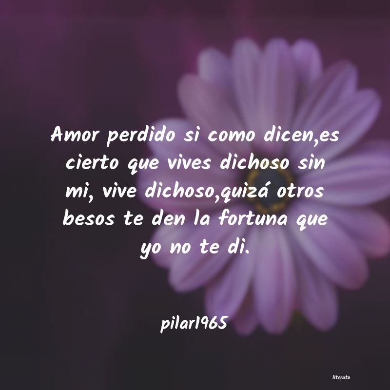 Frases de pilar1965