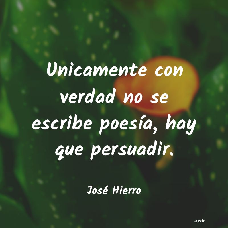 Frases de José Hierro