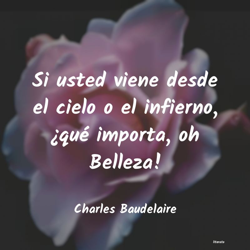 frases de Charles Baudelaire