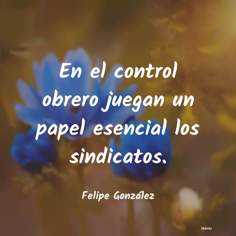 Frases de Felipe González