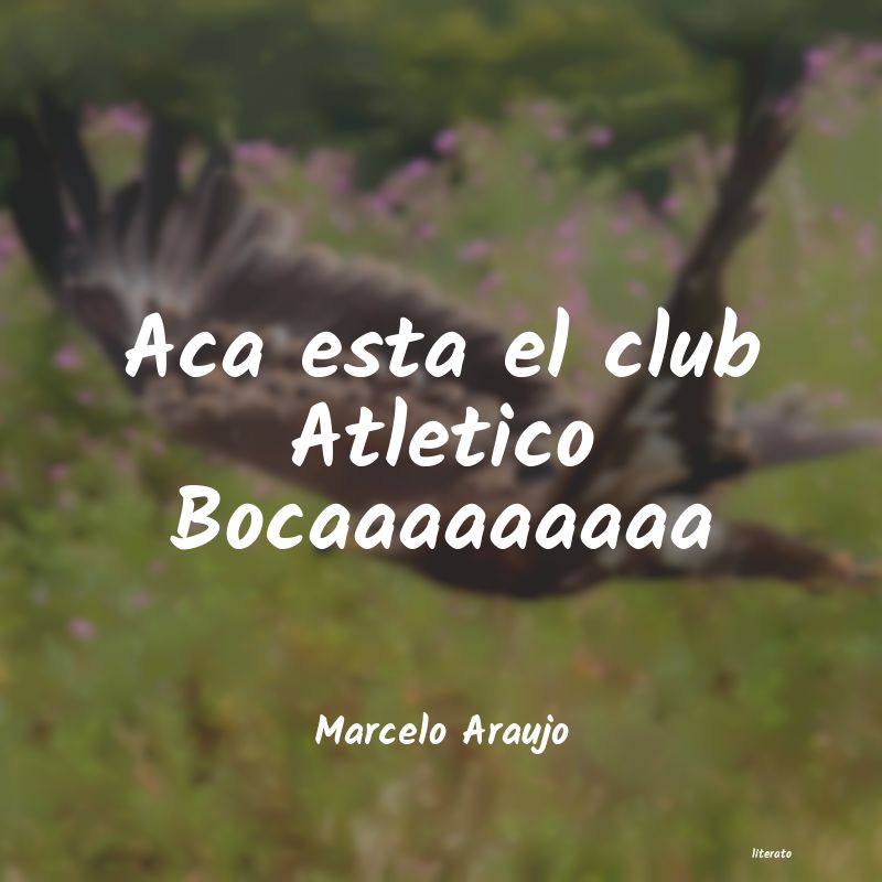 Frases de Marcelo Araujo