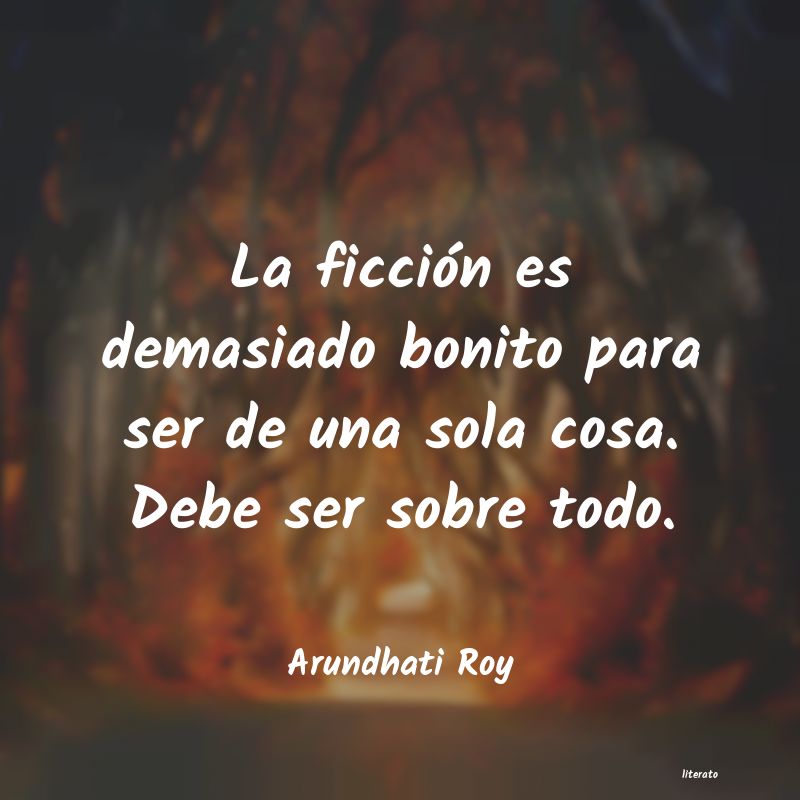 Frases de Arundhati Roy