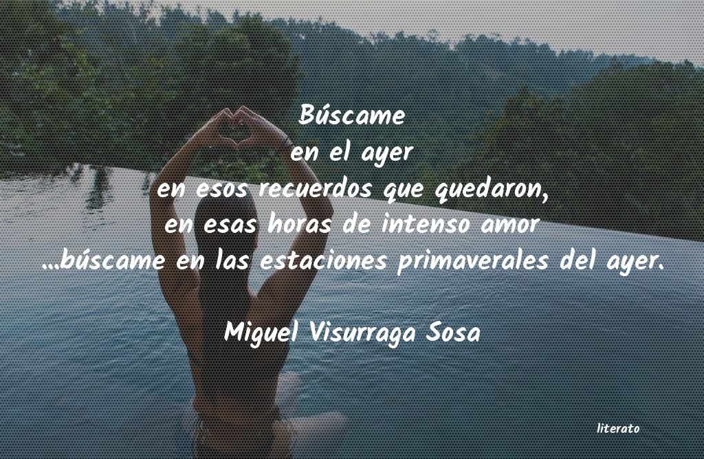 frases de Miguel Visurraga Sosa