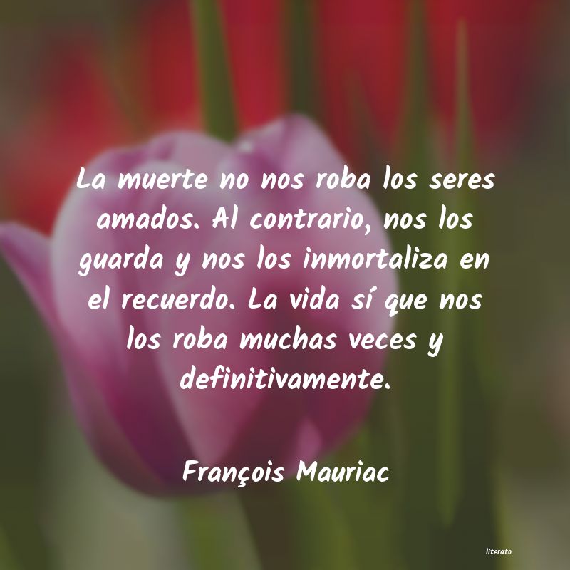 Frases de François Mauriac