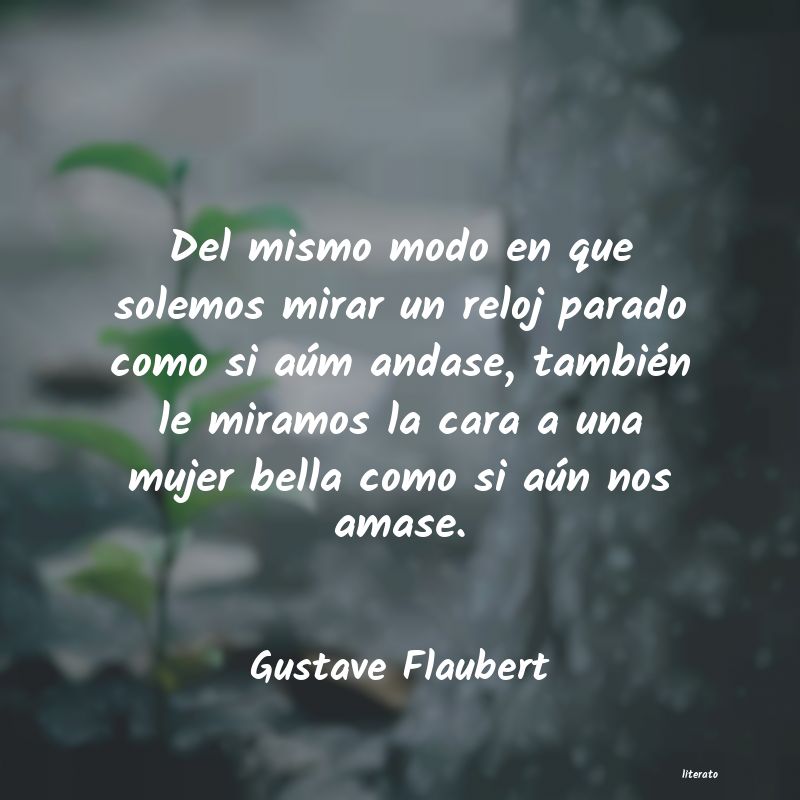 frases de Gustave Flaubert