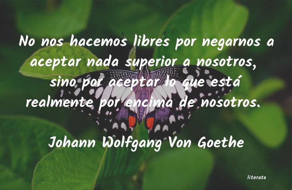 Frases de Johann Wolfgang Von Goethe