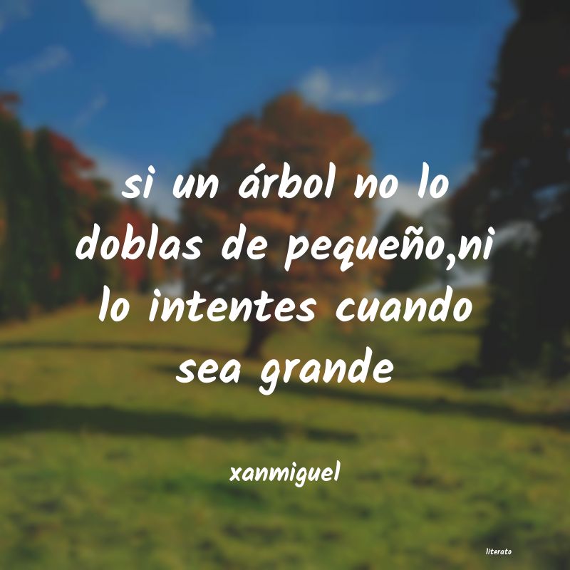 frases de xanmiguel