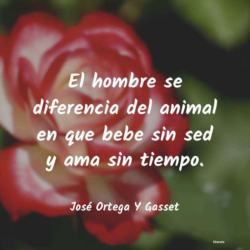 Frases de José Ortega Y Gasset