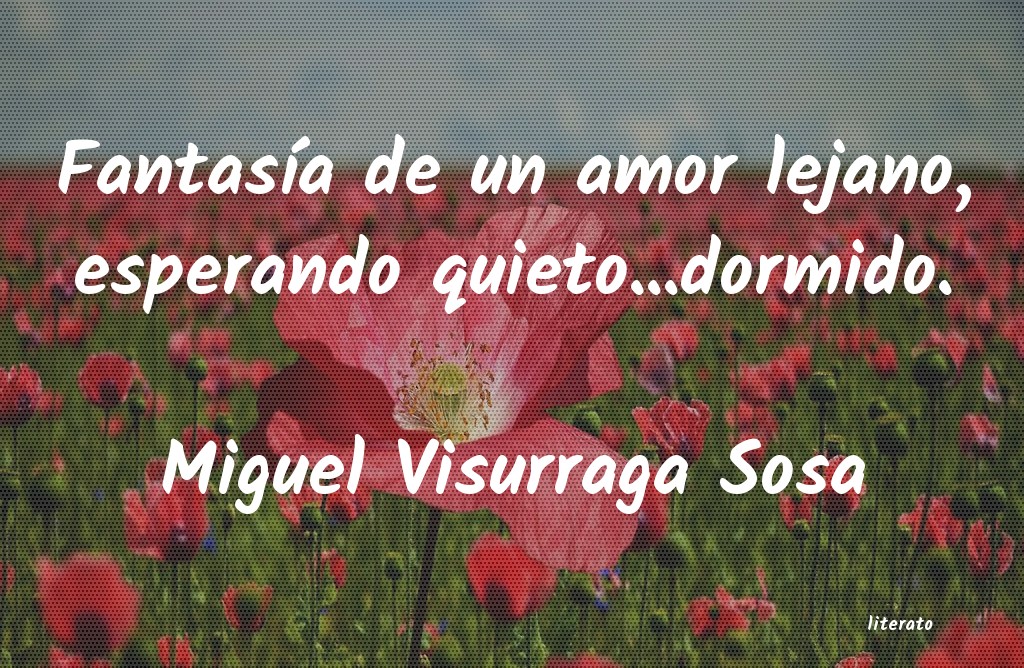 frases de Miguel Visurraga Sosa
