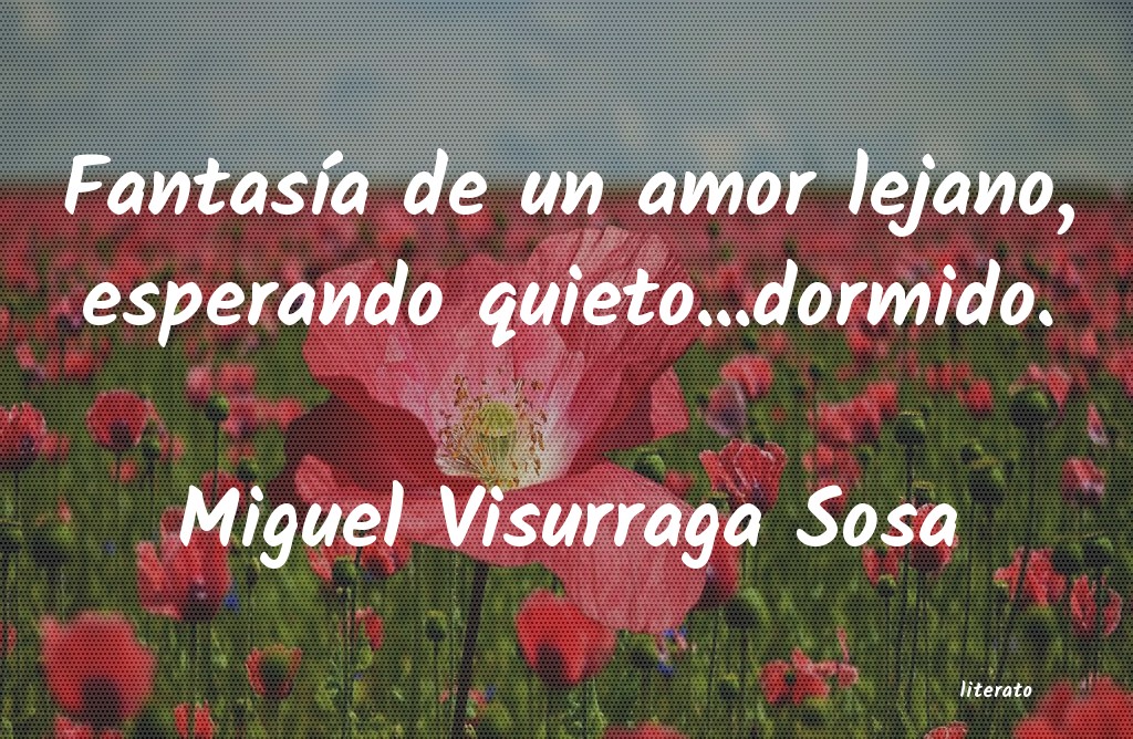 Frases de Miguel Visurraga Sosa