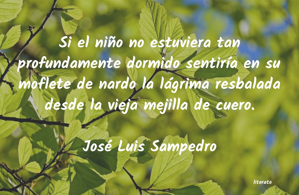 frases de José Luis Sampedro