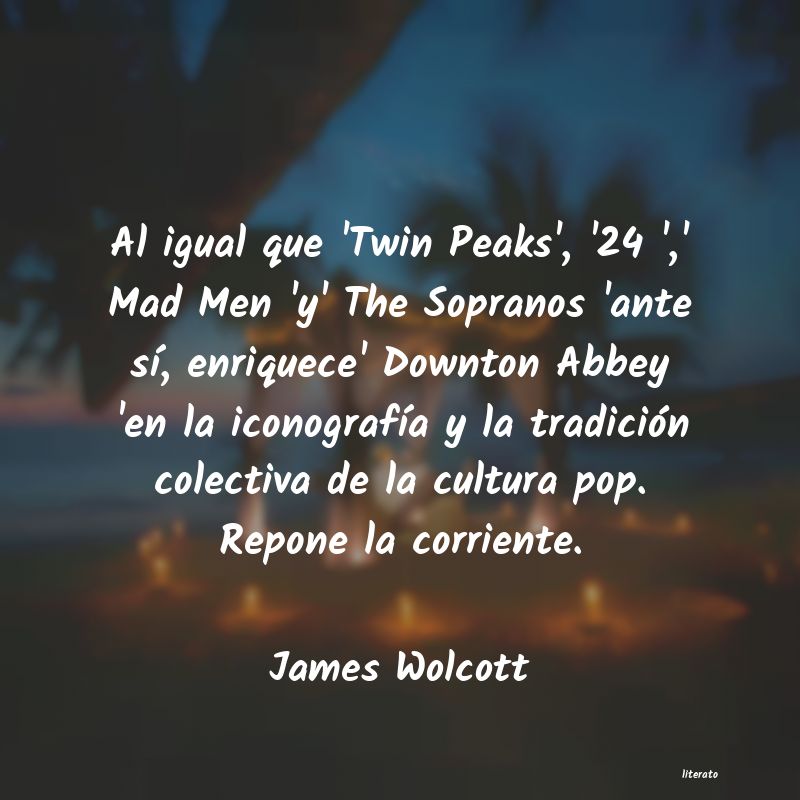 Frases de James Wolcott