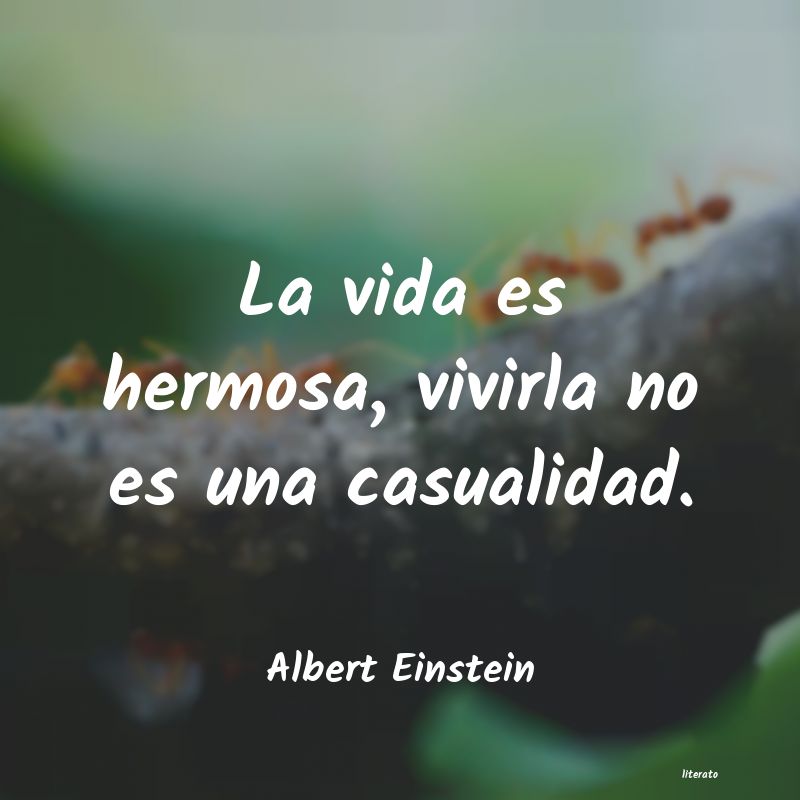 Frases de Albert Einstein