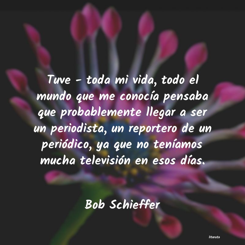 Frases de Bob Schieffer