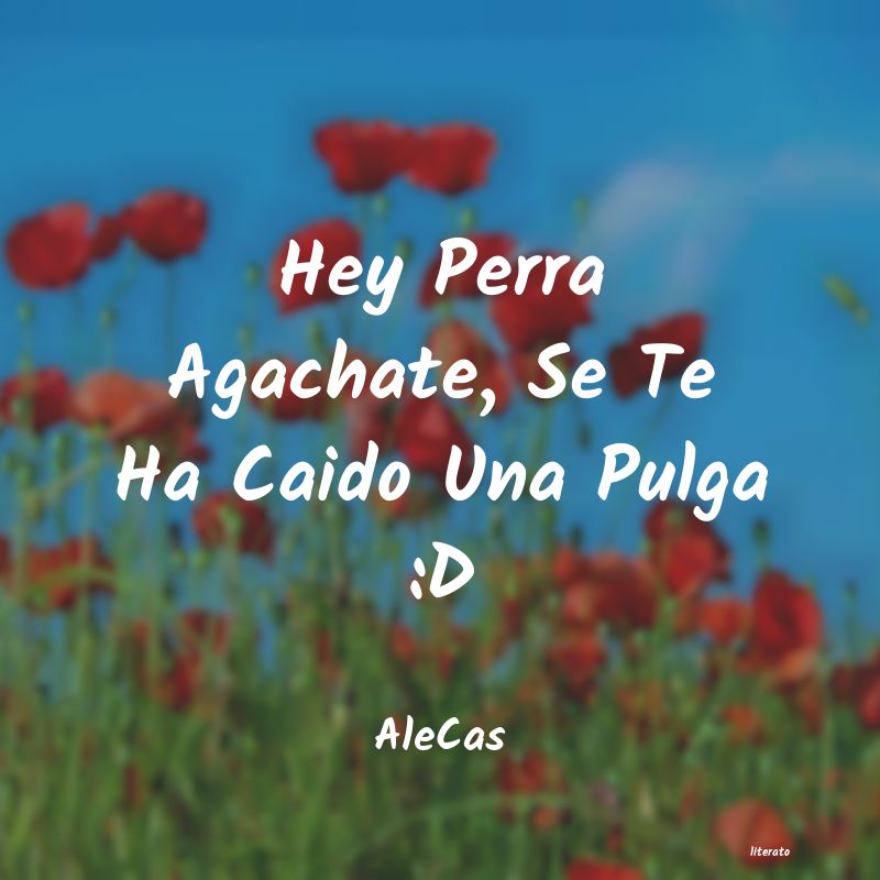 frases de AleCas
