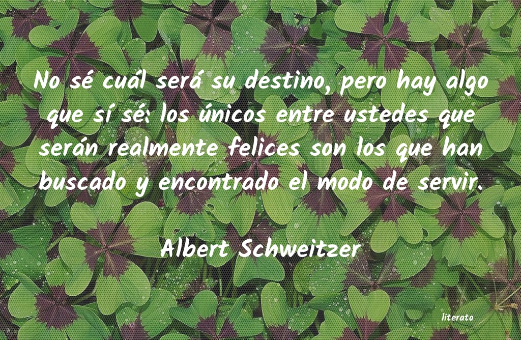 Frases de Albert Schweitzer