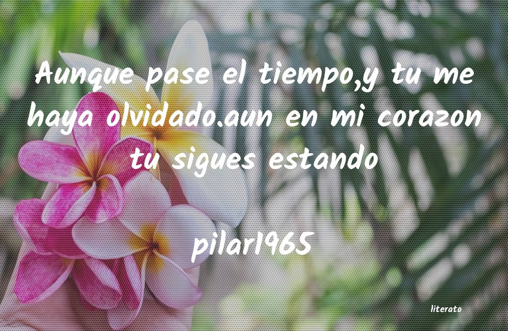 Frases de pilar1965