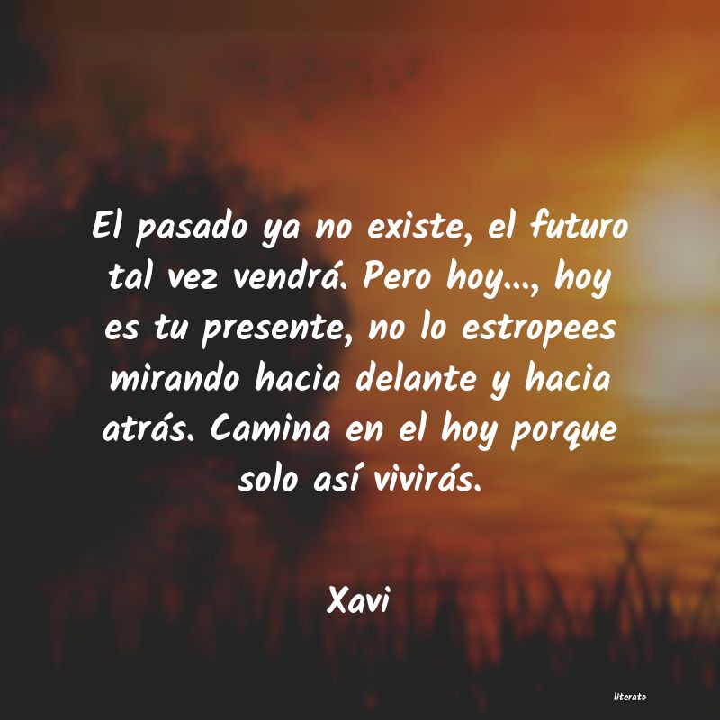 frases de Xavi
